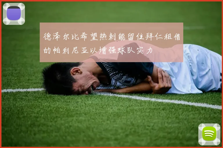 德泽尔比希望热刺能留住拜仁租借的帕利尼亚以增强球队实力